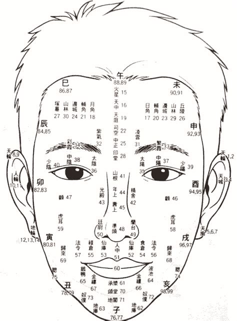 48歲面相|【面相流年圖】面相流年圖解析：由臉上看透你的命運。